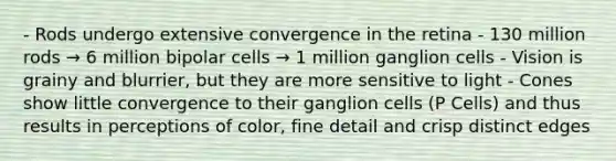 - Rods undergo extensive convergence in the retina - 130 million rods → 6 million bipolar cells → 1 million ganglion cells - Vision is grainy and blurrier, but they are more sensitive to light - Cones show little convergence to their ganglion cells (P Cells) and thus results in perceptions of color, fine detail and crisp distinct edges