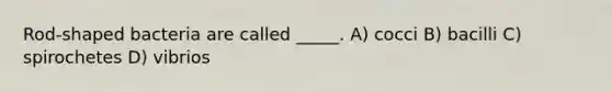 Rod-shaped bacteria are called _____. A) cocci B) bacilli C) spirochetes D) vibrios