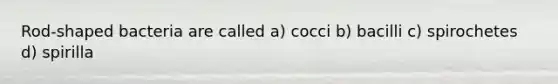 Rod-shaped bacteria are called a) cocci b) bacilli c) spirochetes d) spirilla