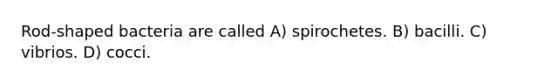 Rod-shaped bacteria are called A) spirochetes. B) bacilli. C) vibrios. D) cocci.