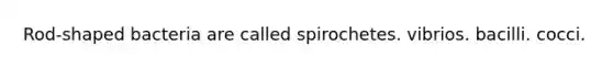 Rod-shaped bacteria are called spirochetes. vibrios. bacilli. cocci.