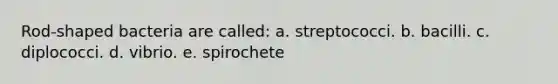 Rod-shaped bacteria are called: a. streptococci. b. bacilli. c. diplococci. d. vibrio. e. spirochete