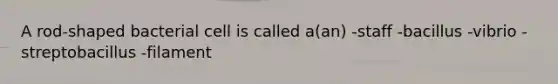 A rod-shaped bacterial cell is called a(an) -staff -bacillus -vibrio -streptobacillus -filament