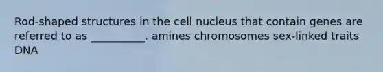 Rod-shaped structures in the cell nucleus that contain genes are referred to as __________. amines chromosomes sex-linked traits DNA