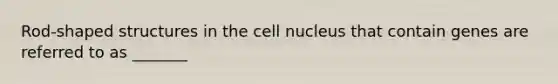 Rod-shaped structures in the cell nucleus that contain genes are referred to as _______