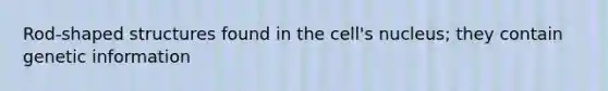 Rod-shaped structures found in the cell's nucleus; they contain genetic information