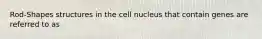 Rod-Shapes structures in the cell nucleus that contain genes are referred to as