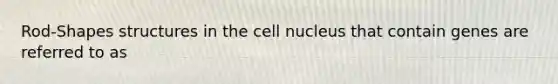 Rod-Shapes structures in the <a href='https://www.questionai.com/knowledge/ksZq6y1LRD-cell-nucleus' class='anchor-knowledge'>cell nucleus</a> that contain genes are referred to as