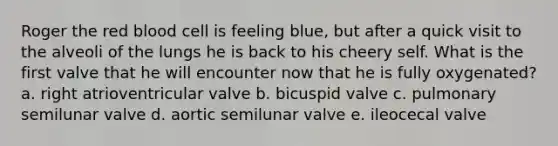 Roger the red blood cell is feeling blue, but after a quick visit to the alveoli of the lungs he is back to his cheery self. What is the first valve that he will encounter now that he is fully oxygenated? a. right atrioventricular valve b. bicuspid valve c. pulmonary semilunar valve d. aortic semilunar valve e. ileocecal valve