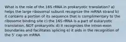 What is the role of the 16S rRNA in prokaryotic translation? a) helps the large ribosomal subunit recognize the mRNA strand b) it contains a portion of its sequence that is complimentary to the ribosome binding site c) the 16S rRNA is a part of eukaryotic translation, NOT prokaryotic d) it recognizes the intron-exon boundaries and facilitates splicing e) it aids in the recognition of the 5' cap on mRNA