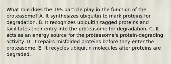 What role does the 19S particle play in the function of the proteasome? A. It synthesizes ubiquitin to mark proteins for degradation. B. It recognizes ubiquitin-tagged proteins and facilitates their entry into the proteasome for degradation. C. It acts as an energy source for the proteasome's protein-degrading activity. D. It repairs misfolded proteins before they enter the proteasome. E. It recycles ubiquitin molecules after proteins are degraded.