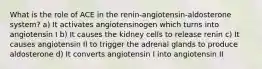 What is the role of ACE in the renin-angiotensin-aldosterone system? a) It activates angiotensinogen which turns into angiotensin I b) It causes the kidney cells to release renin c) It causes angiotensin II to trigger the adrenal glands to produce aldosterone d) It converts angiotensin I into angiotensin II