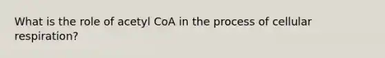 What is the role of acetyl CoA in the process of cellular respiration?