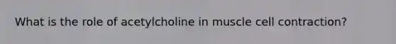 What is the role of acetylcholine in muscle cell contraction?