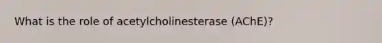 What is the role of acetylcholinesterase (AChE)?