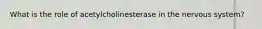 What is the role of acetylcholinesterase in the nervous system?