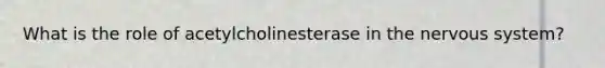 What is the role of acetylcholinesterase in the nervous system?