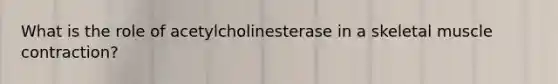What is the role of acetylcholinesterase in a skeletal muscle contraction?