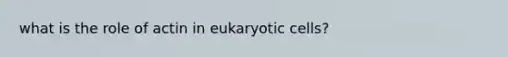 what is the role of actin in <a href='https://www.questionai.com/knowledge/kb526cpm6R-eukaryotic-cells' class='anchor-knowledge'>eukaryotic cells</a>?