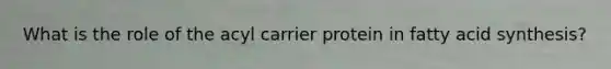 What is the role of the acyl carrier protein in fatty acid synthesis?