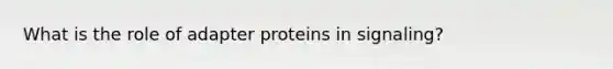 What is the role of adapter proteins in signaling?