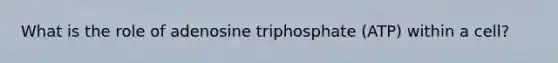 What is the role of adenosine triphosphate (ATP) within a cell?