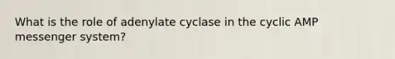 What is the role of adenylate cyclase in the cyclic AMP messenger system?