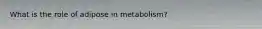 What is the role of adipose in metabolism?