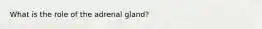 What is the role of the adrenal gland?