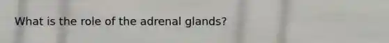 What is the role of the adrenal glands?