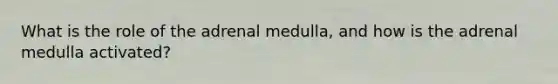 What is the role of the adrenal medulla, and how is the adrenal medulla activated?