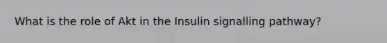 What is the role of Akt in the Insulin signalling pathway?