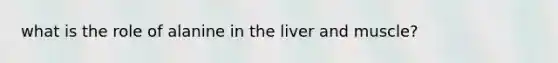 what is the role of alanine in the liver and muscle?