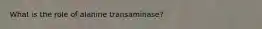 What is the role of alanine transaminase?