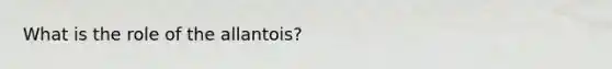 What is the role of the allantois?