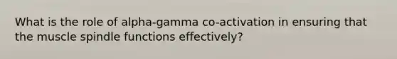 What is the role of alpha-gamma co-activation in ensuring that the muscle spindle functions effectively?