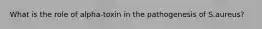 What is the role of alpha-toxin in the pathogenesis of S.aureus?