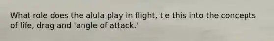 What role does the alula play in flight, tie this into the concepts of life, drag and 'angle of attack.'