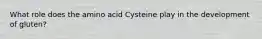 What role does the amino acid Cysteine play in the development of gluten?