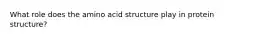 What role does the amino acid structure play in protein structure?