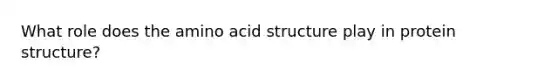 What role does the amino acid structure play in protein structure?