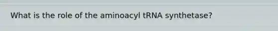 What is the role of the aminoacyl tRNA synthetase?