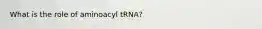 What is the role of aminoacyl tRNA?
