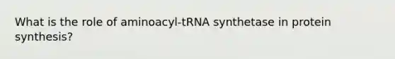 What is the role of aminoacyl-tRNA synthetase in protein synthesis?