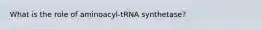 What is the role of aminoacyl-tRNA synthetase?