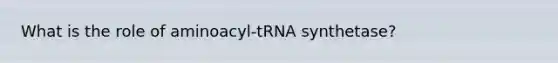 What is the role of aminoacyl-tRNA synthetase?