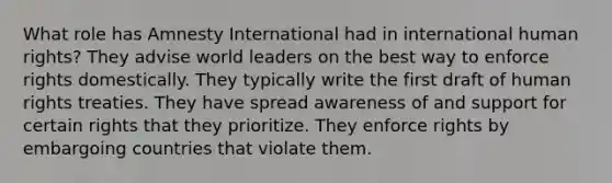 What role has Amnesty International had in international human rights? They advise world leaders on the best way to enforce rights domestically. They typically write the first draft of human rights treaties. They have spread awareness of and support for certain rights that they prioritize. They enforce rights by embargoing countries that violate them.