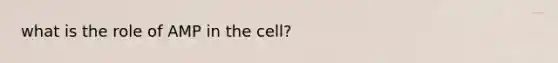 what is the role of AMP in the cell?