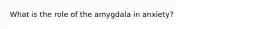 What is the role of the amygdala in anxiety?