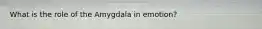 What is the role of the Amygdala in emotion?